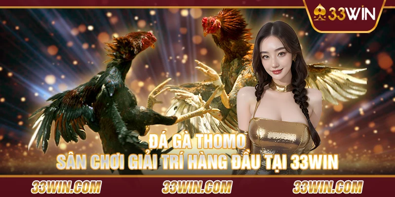 Đá gà thomo - Sân chơi giải trí hàng đầu tại 33Win